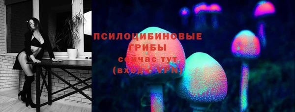 сатива Вязники