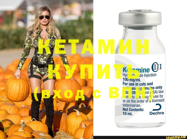 сатива Вязники
