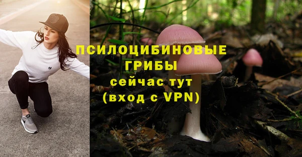сатива Вязники
