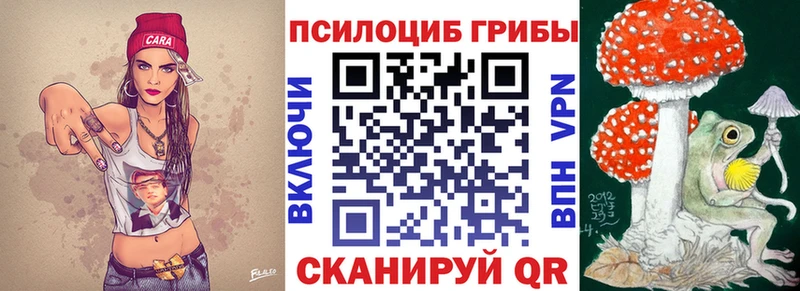 где купить   Хасавюрт  Галлюциногенные грибы мицелий 